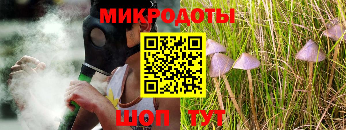Галлюциногенные грибы ЛСД Тавда