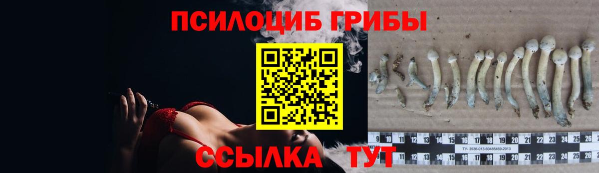 ГАШ Тавда